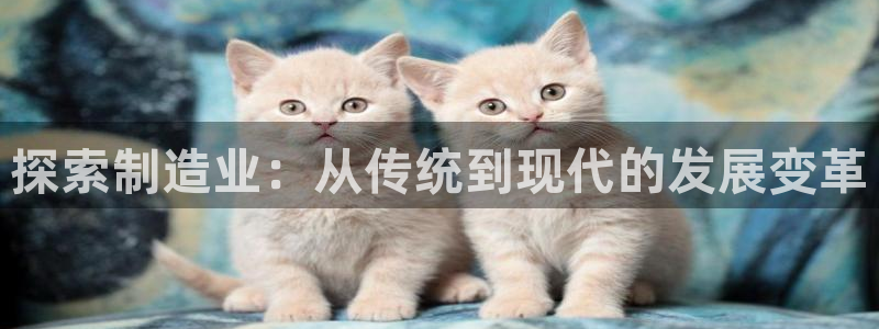 彩神这个平台是真的吗：探索制造业：从传统到现代的发展变革