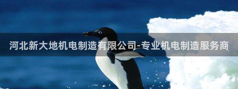 彩神vip官方网站：河北新大地机电制造有限公司-专业机电制造服务商