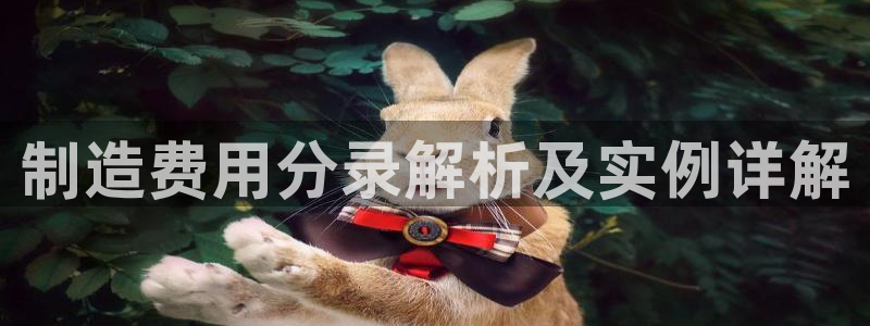 下载彩神v8：制造费用分录解析及实例详解