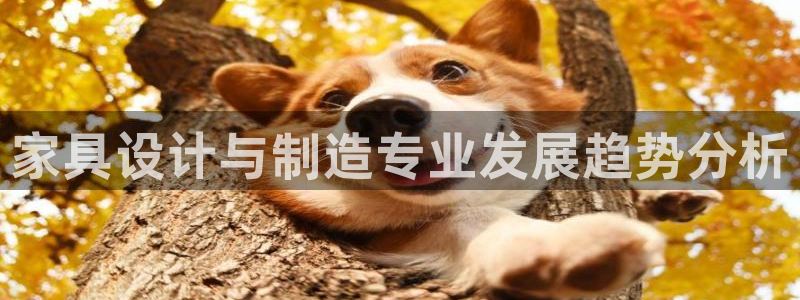 彩神8官网500：家具设计与制造专业发展趋势分析