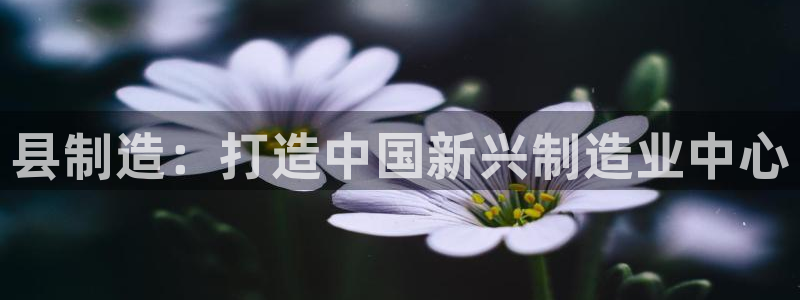 彩神8彩平台官网