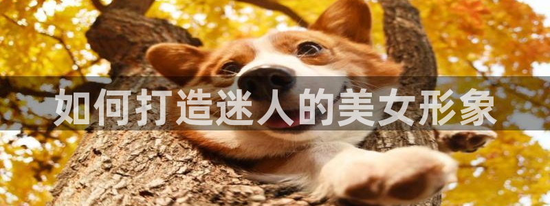 下载彩神通关注金码：如何打造迷人的美女形象