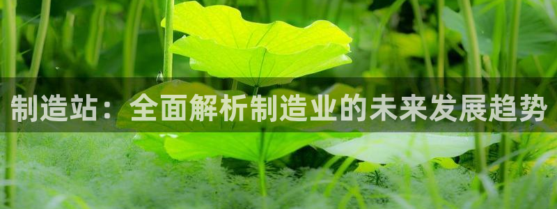 彩神8是正规平台吗是正品吗