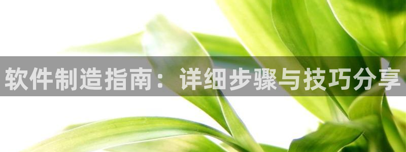 彩神8彩平台客服：软件制造指南：详细步骤与技巧分享