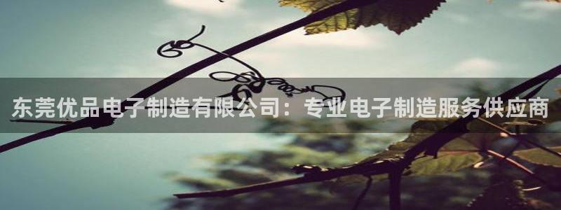 彩神v8首页