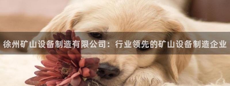 彩神争霸官网登录平台：徐州矿山设备制造有限公司：行业领先的矿山设备制造企业