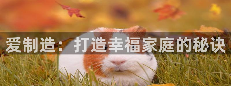 彩神v8手机客户端怎么下载：爱制造：打造幸福家庭的秘诀