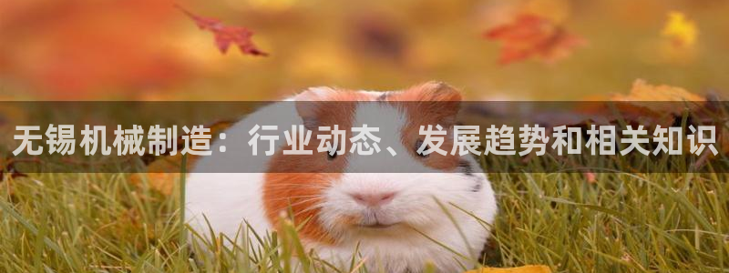 彩神8彩平台客服：无锡机械制造：行业动态、发展趋势和相关知识