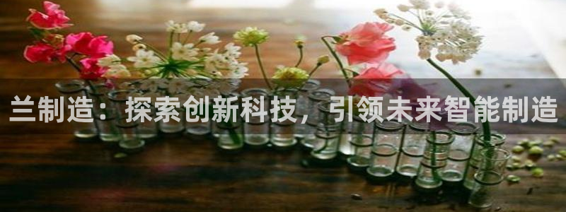 彩神通关注码金码对应码：兰制造：探索创新科技，引领未来智能制造