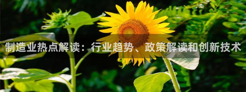 大发彩神争