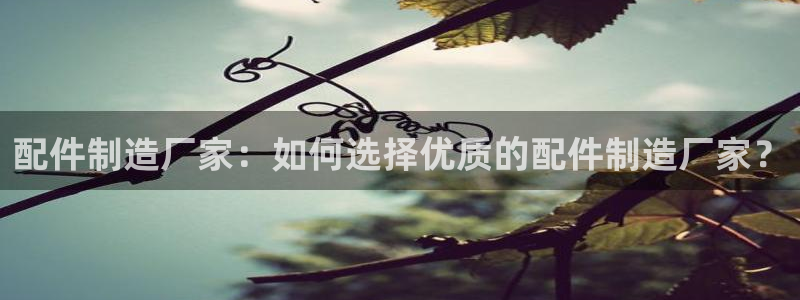 彩神购彩-购彩大厅入口老版：配件制造厂家：如何选择优质的配件制造厂家？
