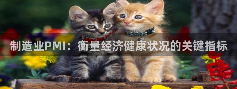 下载彩神乐发V