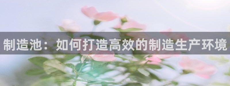 彩神平台之间是什么关系：制造池：如何打造高效的制造生产环境