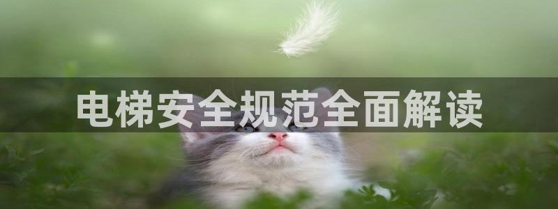 彩神vll首页环球：电梯安全规范全面解读