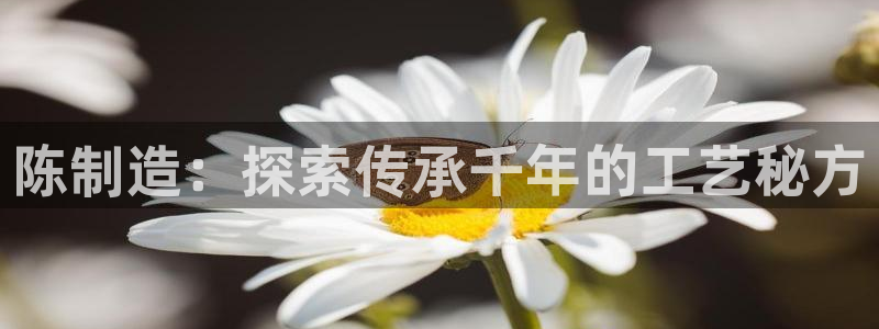 彩神vll购彩大厅大众：陈制造：探索传承千年的工艺秘方
