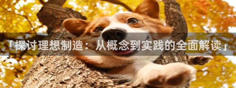 彩神大发cp：「探讨理想制造：从概念到实践的全面解读」