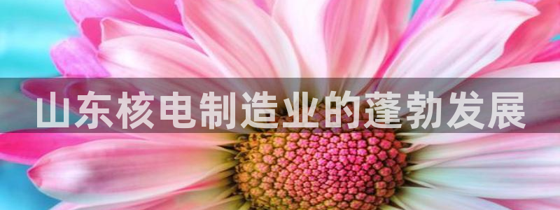 彩神vi官网版：山东核电制造业的蓬勃发展