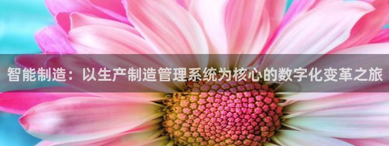 彩神viii官网：智能制造：以生产制造管理系统为核心的数字化变革之旅