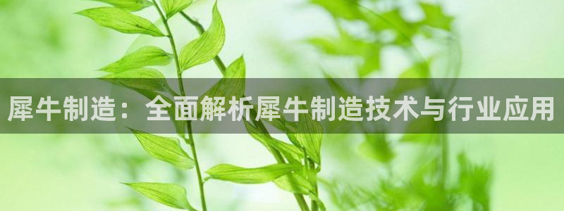 彩神vip购彩大厅在哪：犀牛制造：全面解析犀牛制造技术与行业应用