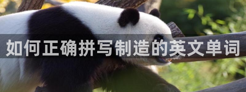 有谁知道彩神争霸的网址：如何正确拼写制造的英文单词