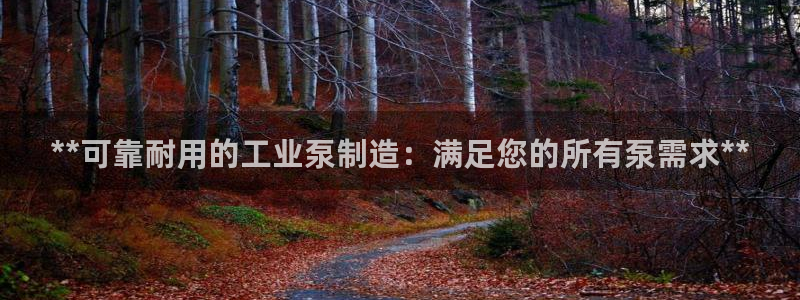 彩神vlll官网网上购彩：**可靠耐用的工业泵制造：满足您的所有泵需求**