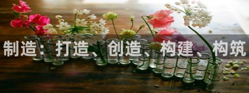 彩神ios下载：制造：打造、创造、构建、构筑