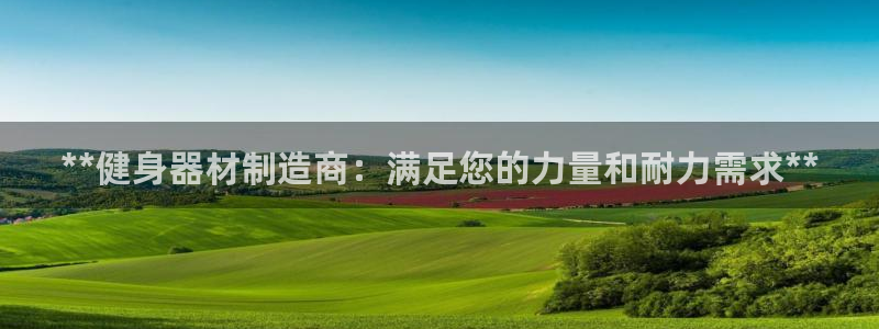 彩神大发如何观察走势：**健身器材制造商：满足您的力量和耐力需求**