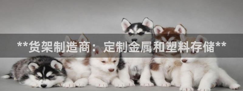 彩神iv真的能赚钱吗：**货架制造商：定制金属和塑料存储**
