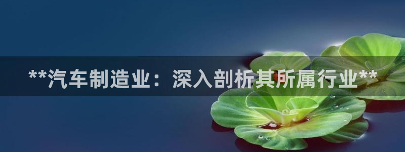 彩神v：**汽车制造业：深入剖析其所属行业**