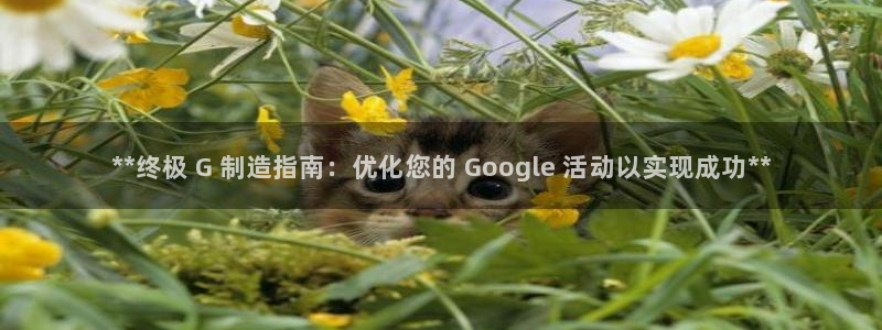 彩神8官网500：**终极 G 制造指南：优化您的 Google 活动以实现成功**