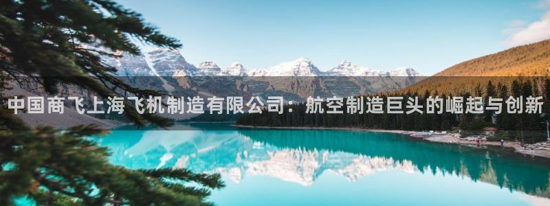彩神系列平台：中国商飞上海飞机制造有限公司：航空制造巨头的崛起与创新