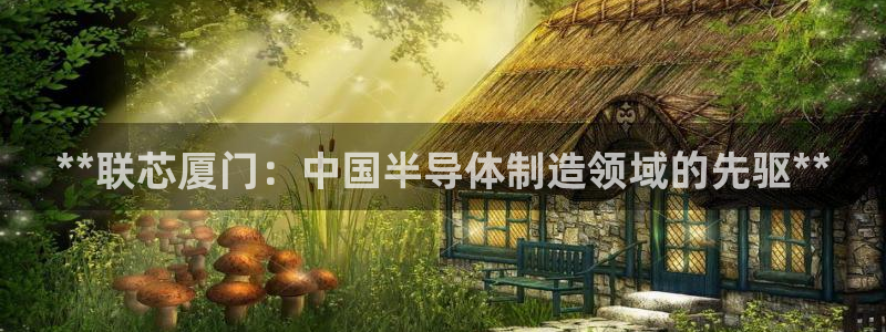 彩神旗下有哪些平台可以玩：**联芯厦门：中国半导体制造领域的