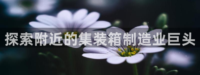 彩神v8首页：探索附近的集装箱制造业巨头