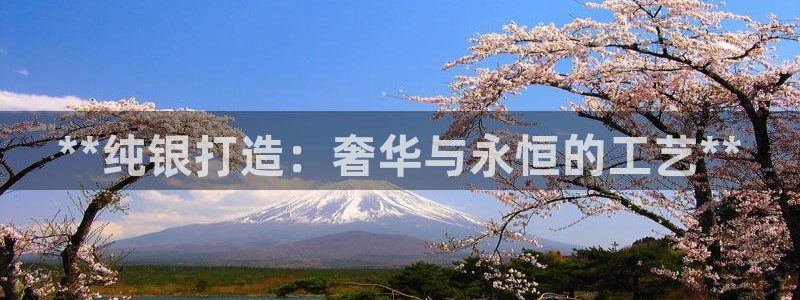 彩神v8是一个什么平台游戏：**纯银打造：奢华与永恒的工艺**