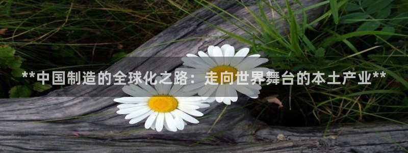下载彩神通关注码：**中国制造的全球化之路：走向世界舞台的本