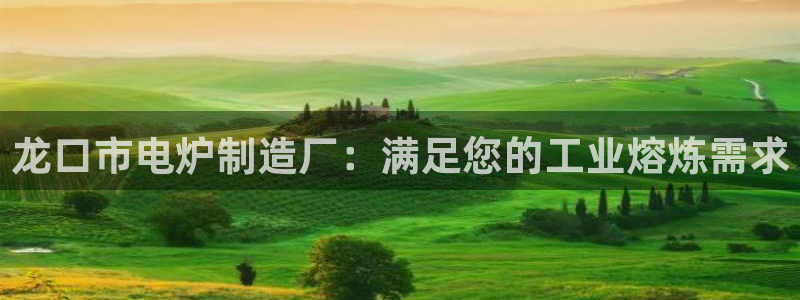 彩神系列平台：龙口市电炉制造厂：满足您的工业熔炼需求