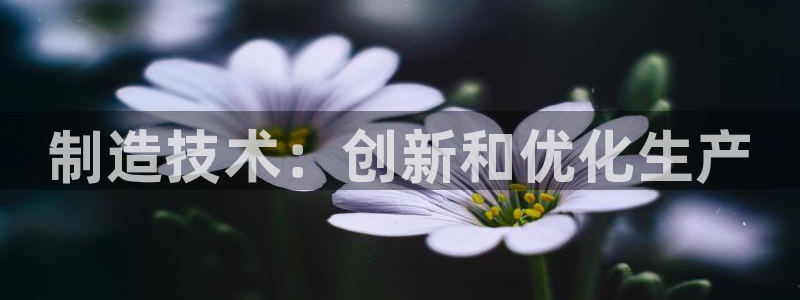 彩神v8下载app：制造技术：创新和优化生产