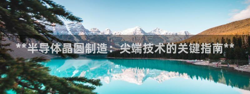 彩神vlll游戏特色：**半导体晶圆制造：尖端技术的关键指南**