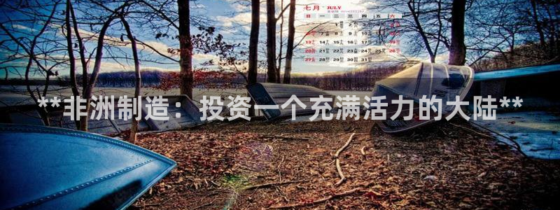 彩神viii官网：**非洲制造：投资一个充满活力的大陆**