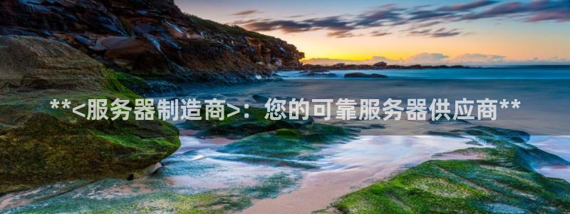 彩神vlll官网网上购彩：**<服务器制造商>：您的可靠服务器供应商**