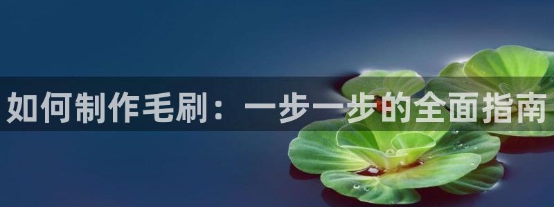 彩神vi官网版：如何制作毛刷：一步一步的全面指南