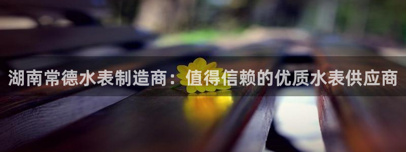 彩神vip购彩大厅下载：湖南常德水表制造商：值得信赖的优质水表供应商