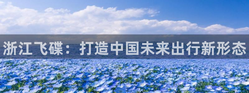 彩神怎么样可以提现：浙江飞碟：打造中国未来出行新形态