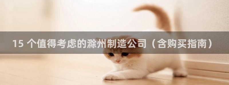 彩神v8是真的挣钱吗安全吗：15 个值得考虑的滁州制造公司（含购买指南）