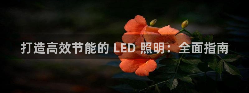 彩神盈利图片