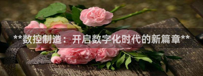 彩神系列平台：**数控制造：开启数字化时代的新篇章**
