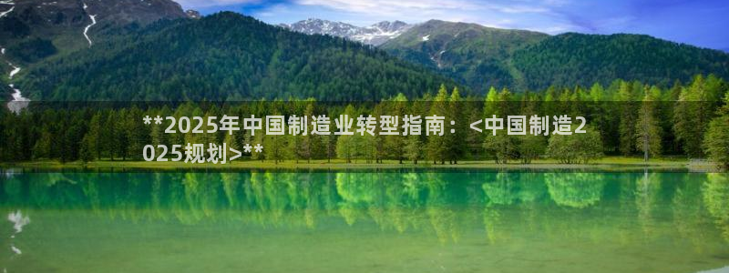 彩神8app官方下载：**2025年中国制造业转型指南：<中
