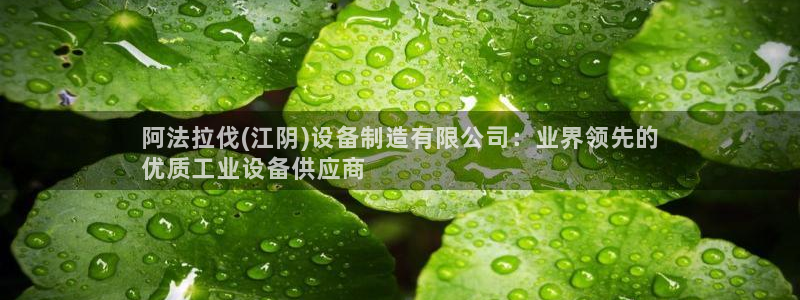 所有彩神购买首页中心：阿法拉伐(江阴)设备制造有限公司：业界