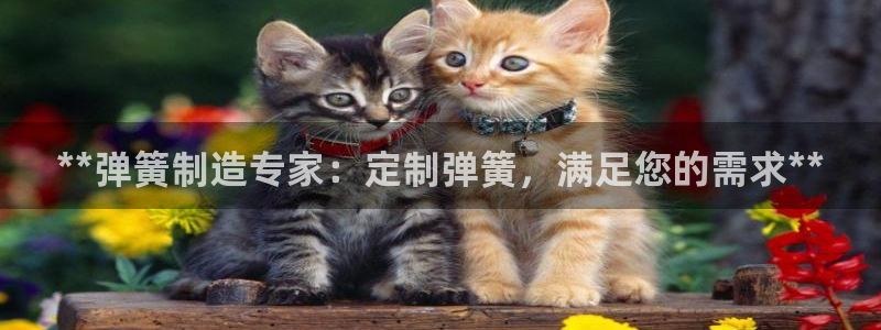 彩神v争霸是啥