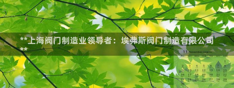 彩神vii手游下载：**上海阀门制造业领导者：埃弗斯阀门制造有限公司
**